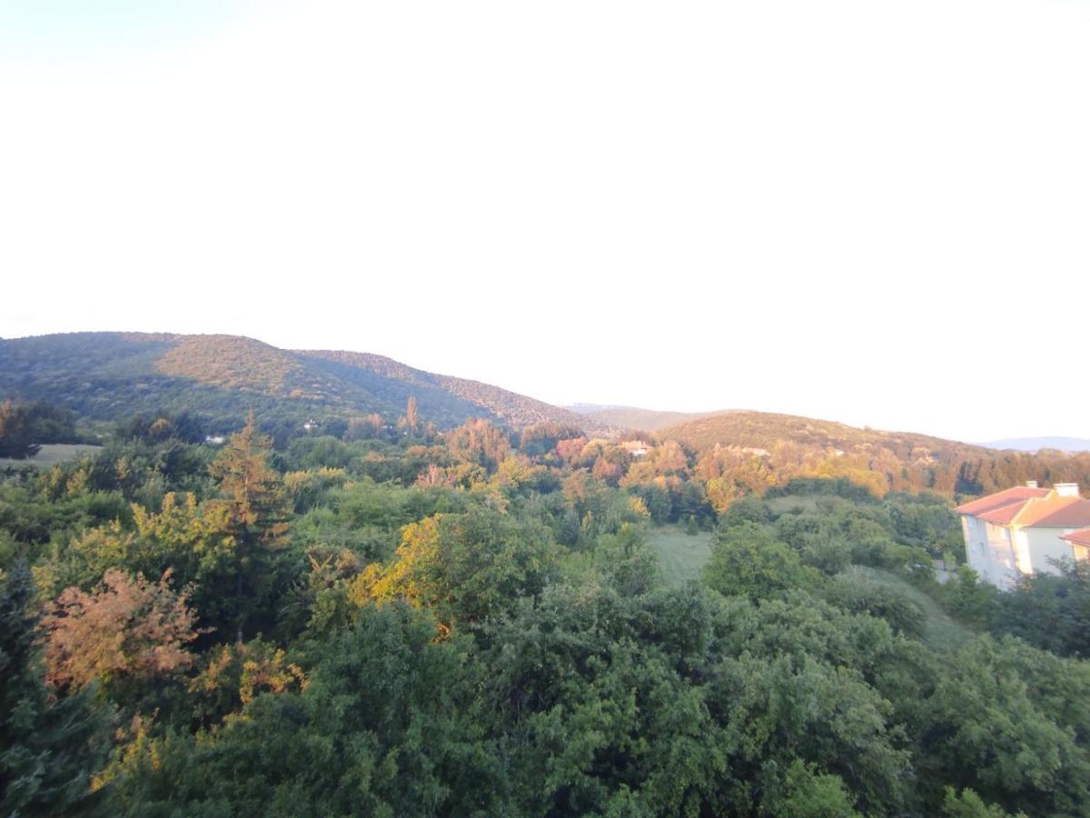 Sky Apartman Sokobanja Exterior foto