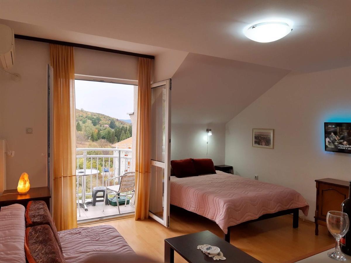 Sky Apartman Sokobanja Exterior foto
