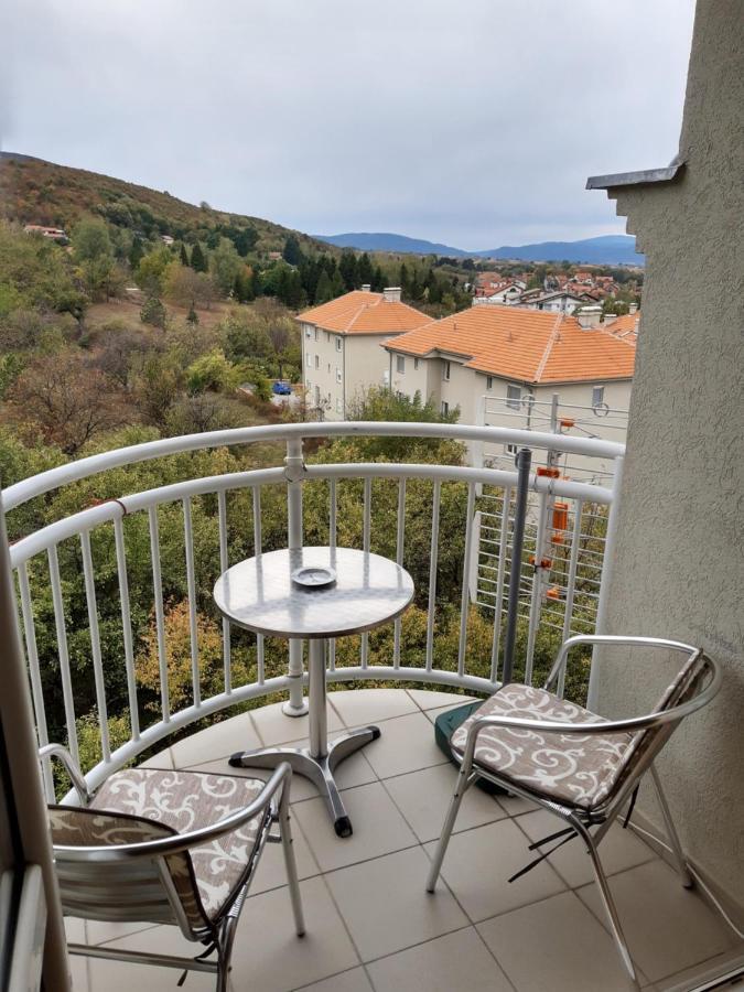 Sky Apartman Sokobanja Exterior foto